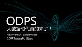 从热词到现实 大数据崛起与数据科学家职业浪潮的宏观透视